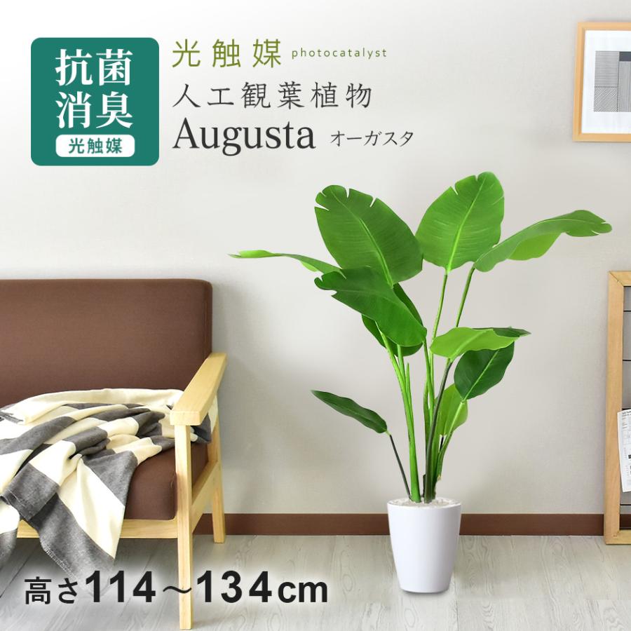 DORIS（ドリス） 人工植物 観葉植物 光触媒 造花 植物 フェイク