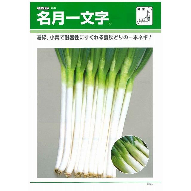 ねぎ 名月一文字 ペレット種子 2L 5000粒 タキイ種苗（株） : グリーン