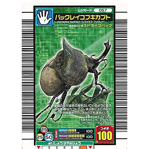 甲虫王者ムシキング 057 バックレイコフキカブト 2006ファースト : ぽ
