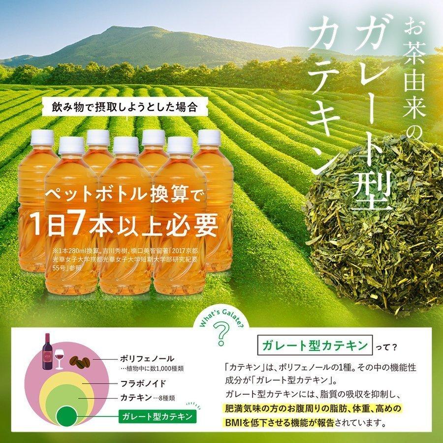 DMJえがお生活 カテキンサプリ 1か月分 カテキン減脂粒 内臓脂肪