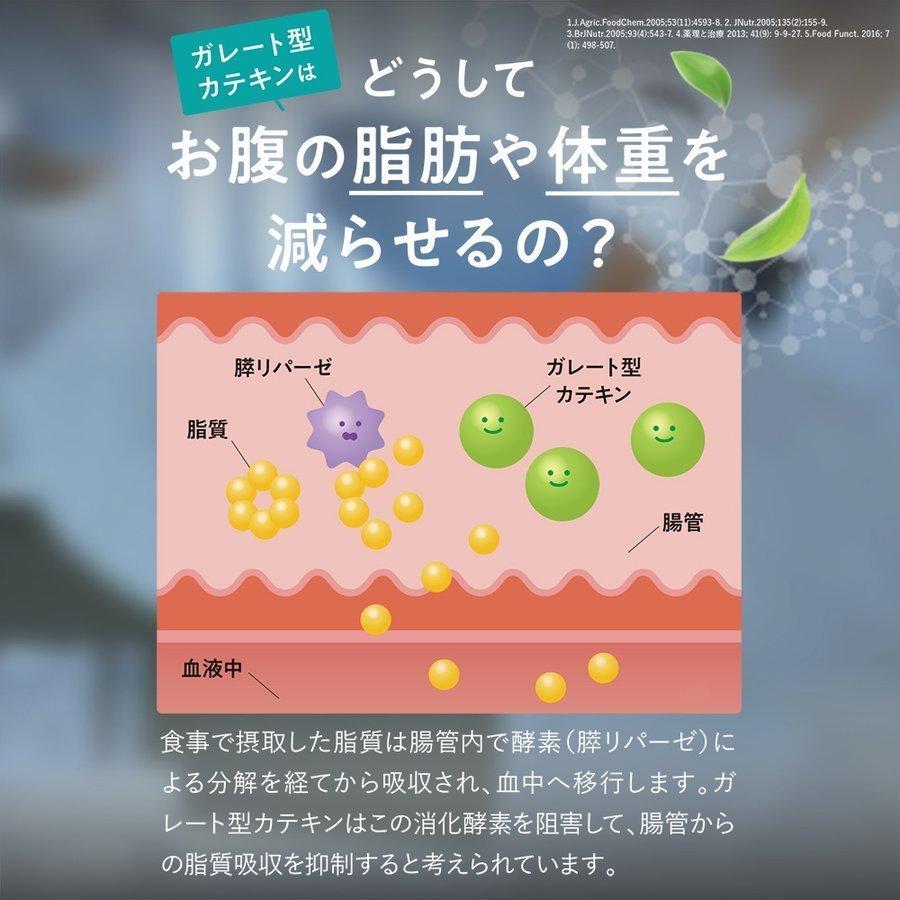 DMJえがお生活 カテキン減脂粒 6袋セット 10%OFF DMJえがお生活 31日分