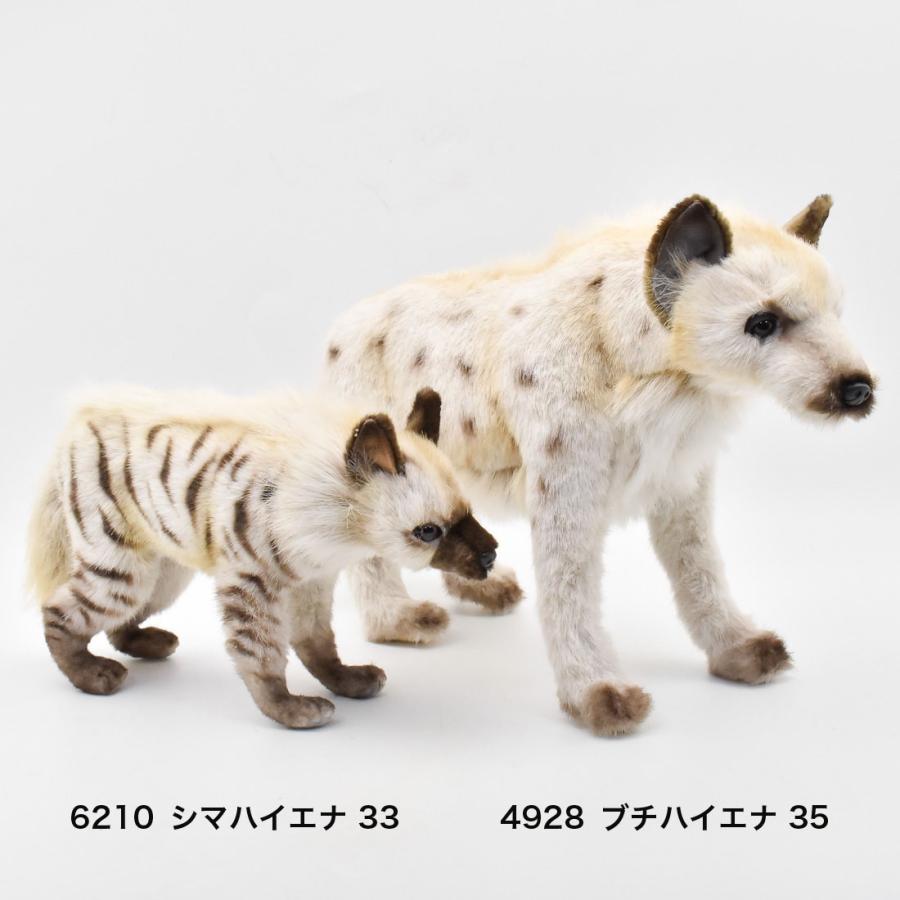 HANSA BH4928 ブチハイエナ ぶちはいえな ぬいぐるみ リアル : Dear