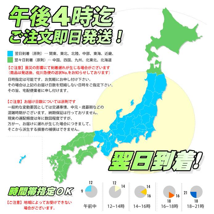 PANTONE（パントン） フォーミュラガイド 2冊組 コート紙&上質紙 増補