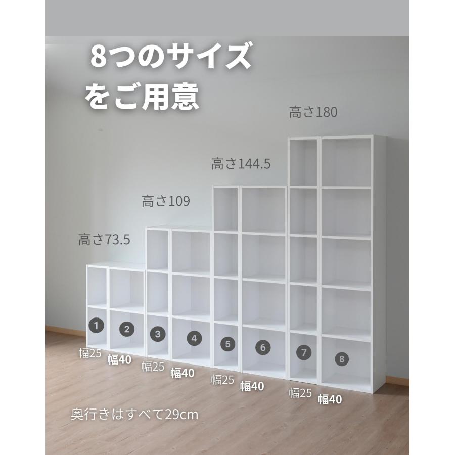 山善（YAMAZEN） カラーボックス A4 2段 たてよこ使える 幅40 奥行29