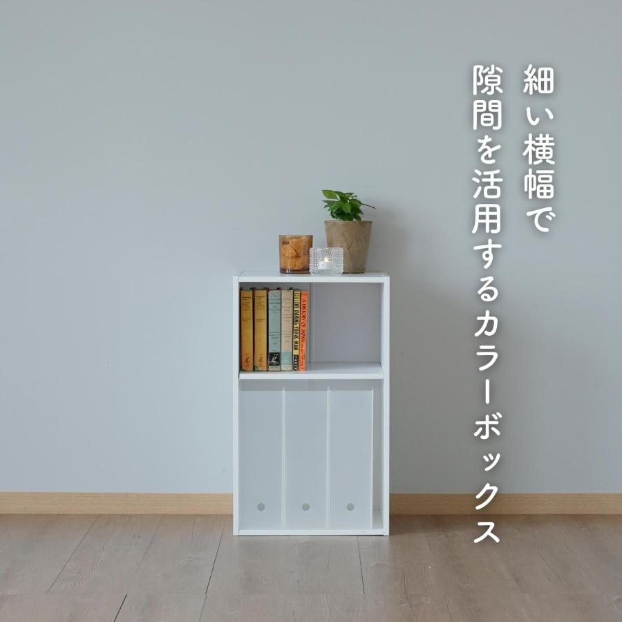 山善（YAMAZEN） カラーボックス 2段 スリム 隙間収納 幅35 奥行き29