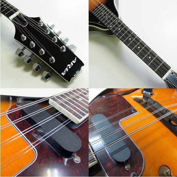 マンドリン ARIA アリア AM-20E 初心者 11点セット ピックアップ搭載