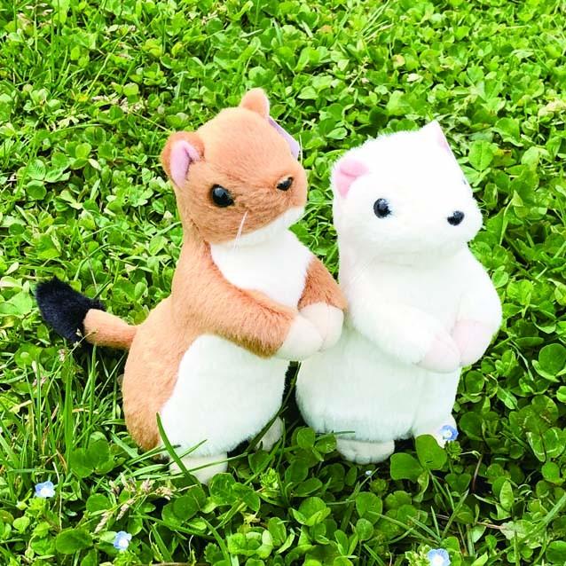 おこじょぬいぐるみ S タイインク Ty Inc. プレゼント : エイコー