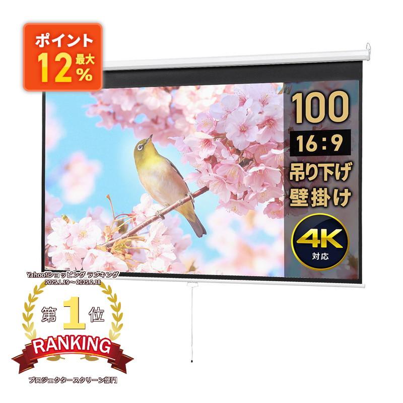 イーサプライ（e-supply） プロジェクタースクリーン 100インチ 16：9