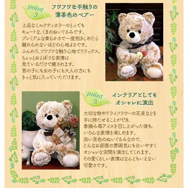 ぬいぐるみ スイーツ 送料無料 ギフト セット 春摘み苺アイス＆ベアー