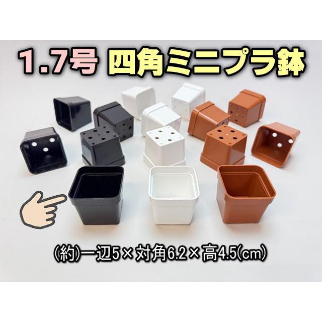 1.7号四角プラ鉢-黒-超ミニサイズ 1個売り(擦り傷目立つ傾向あり)[1-7B