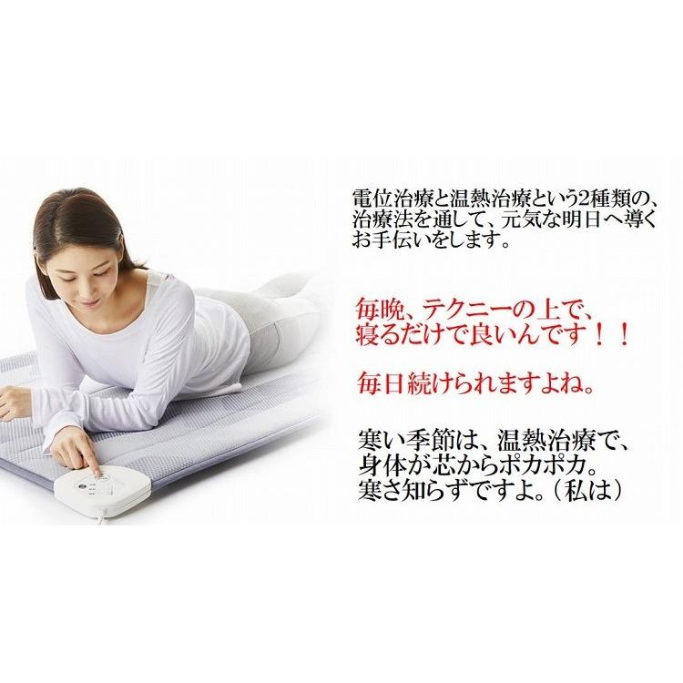 西川（nishikawa） 【専用カバープレゼント】 ローズテクニー LS2 電位