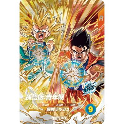 BANDAI（バンダイ） ドラゴンボールスーパーダイバーズ SDV8-PUR2 孫悟