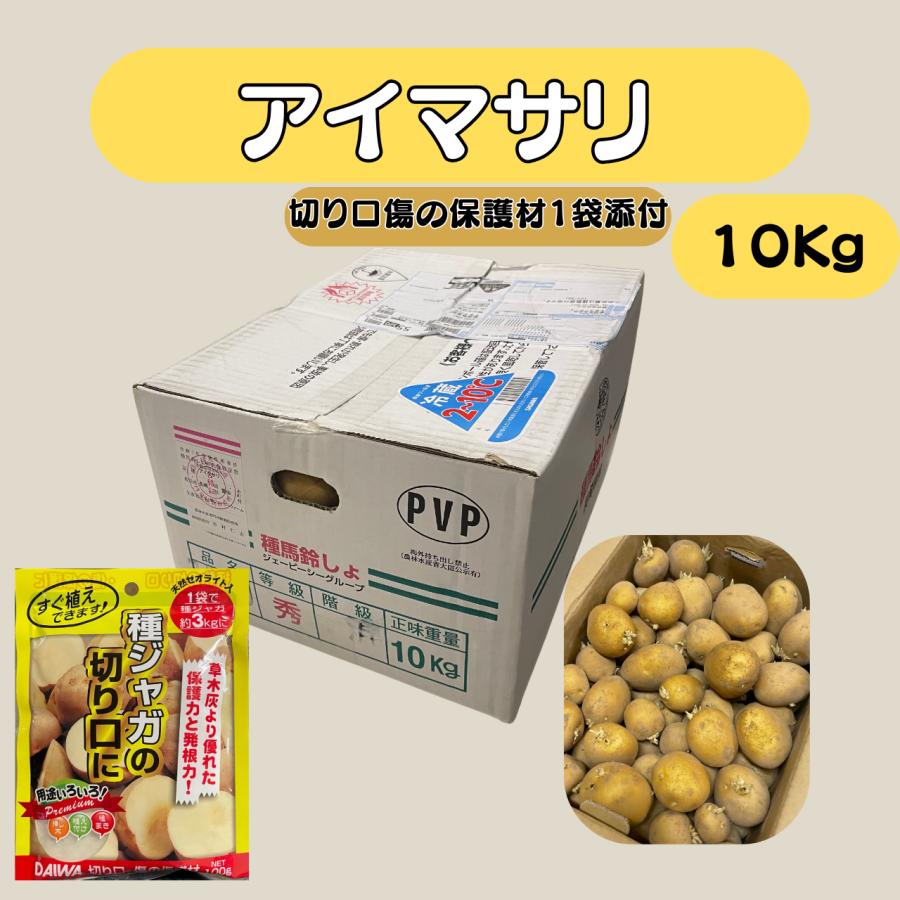 10Kg 種芋 アイマサリ 混玉 切り口保護材1袋添付サービス ジャガイモ