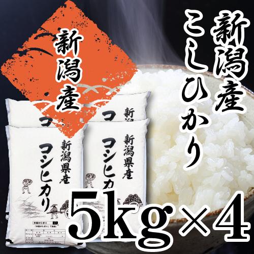 コシヒカリ 米 20kg 新潟 送料無料 あすつく 5Kg×4 20キロ 令和7年産