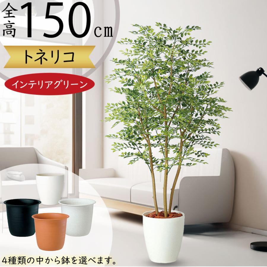 トネリコ フェイクグリーン 人気 人工観葉植物 おしゃれ リアル