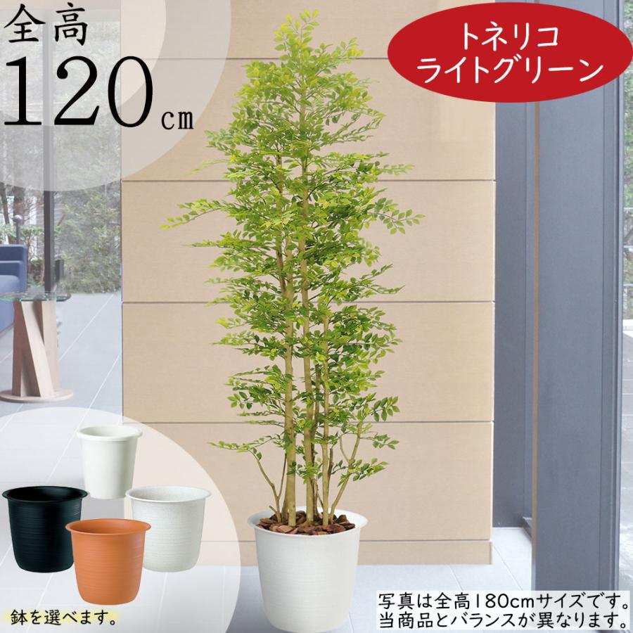 トネリコ フェイクグリーン 人気 人工観葉植物 おしゃれ リアル