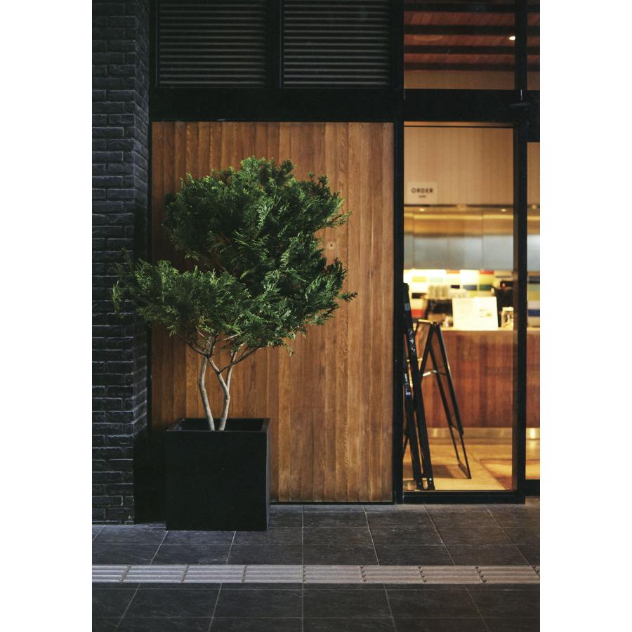 植木鉢 おしゃれ プランター 大型 観葉植物 人気 おすすめ 特大 大きい