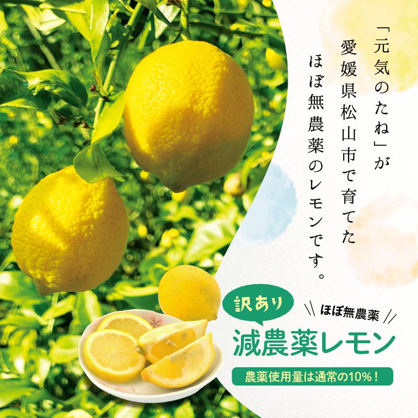 国産レモン ほぼ 無農薬 レモン 3kg 国産 れもん 愛媛県産 減農薬 自家