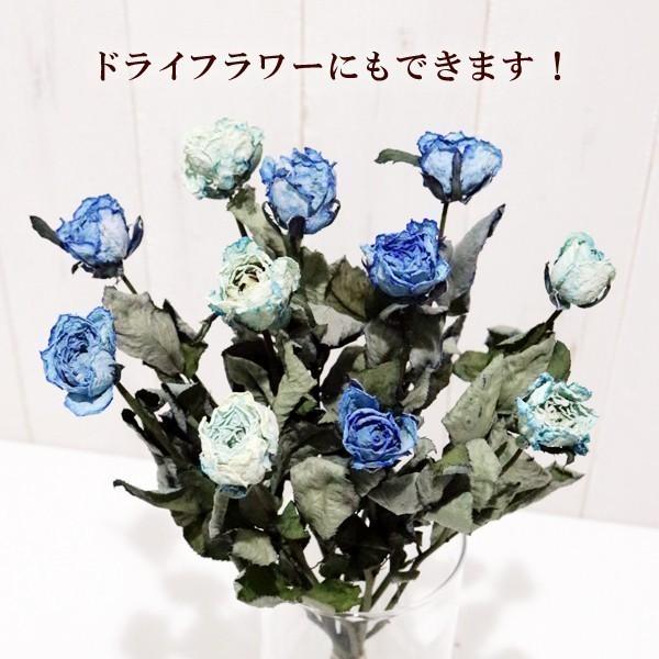 ブルーローズ MIX 花束 40本カラーミックス 生花 ナチュラルカラー