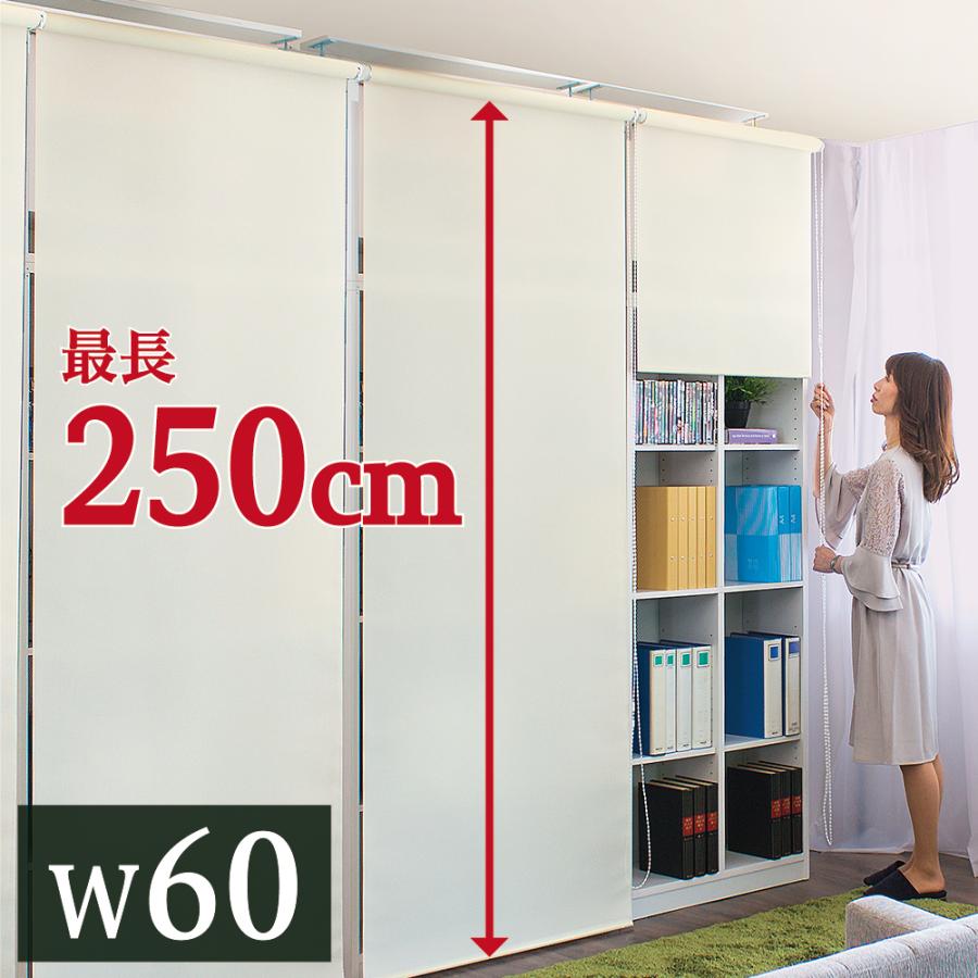 ロールスクリーン 幅60 丈250cm UVカット 目隠し 巻上器付き 風通し