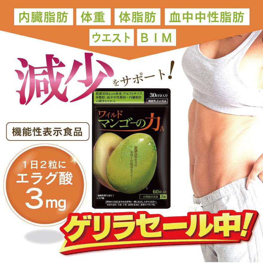亀山堂 ワイルドマンゴーの力 A エラグ酸 機能性表示食品 30日分 60粒