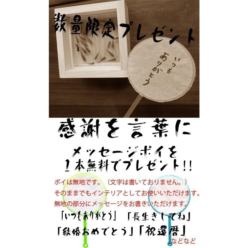 アクリル 樹脂金魚 金魚アート ひのき 還暦 結婚 男性 女性
