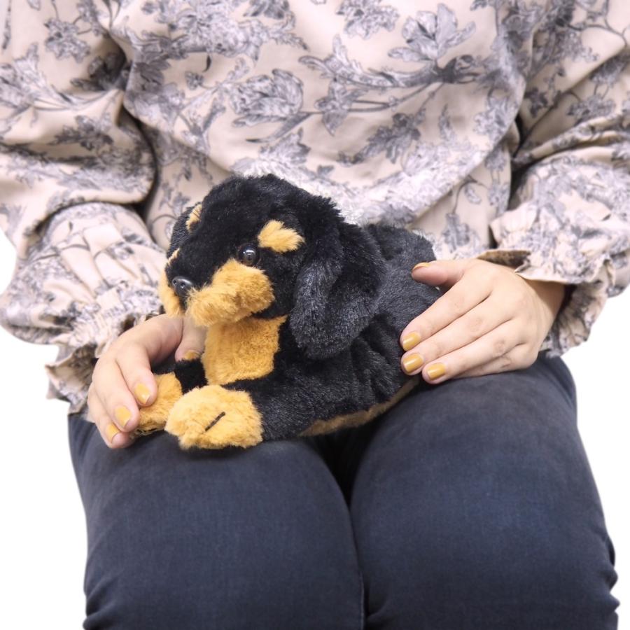 ひざわんこ SSサイズ ミニチュアダックス ブラック ダックスフント 犬