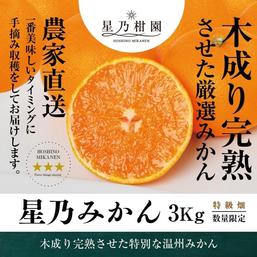 20%特別セール】星乃みかん【木成り完熟/温州みかん】 3kg : 星乃