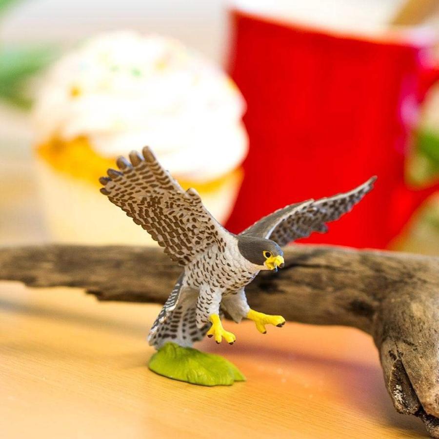 Safari （サファリ）100094 ハヤブサ 動物フィギュア : 動物フィギュア