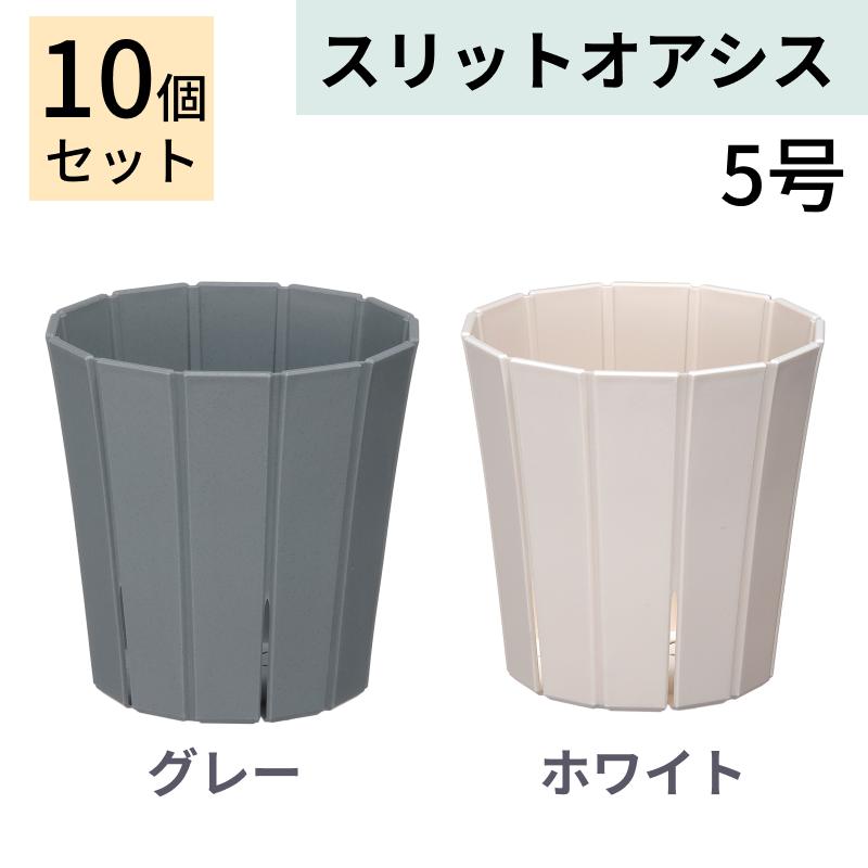 スリットオアシス 5号 10個セット スリット鉢 ホワイト グレー : 花