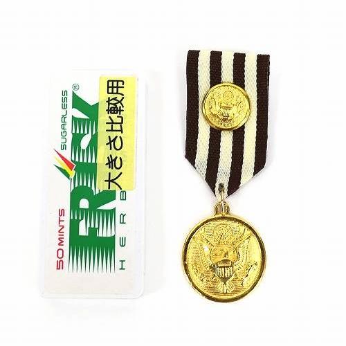 バッジ ミリタリー 勲章 茶色 メダル cq10 勲章バッジ ワッペン風 WP