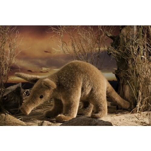 ケーセン ぬいぐるみ Kosen ツチブタ 35cm Aardvark ドイツ製 リアル