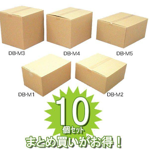 IRIS OHYAMA（アイリスオーヤマ） ダンボール ボックス 容量29L 10個