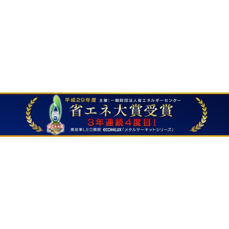 IRIS OHYAMA（アイリスオーヤマ） 丸形LEDランプ ペンダント用 30形+40