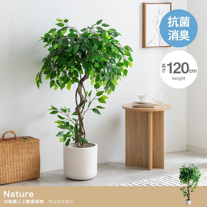 光触媒 人工観葉植物 高さ120cm ベンジャミン フェイクグリーン 水やり