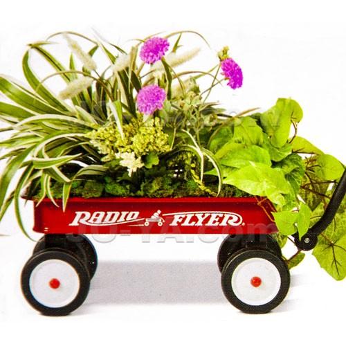 RADIO FLYER (ラジオフライヤー) マイ ファーストワゴン MY 1ST WAGON
