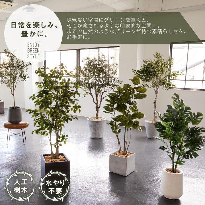 フェイクグリーン リアル 大型 特大 高さ180cm「オリーブS×Tall Square