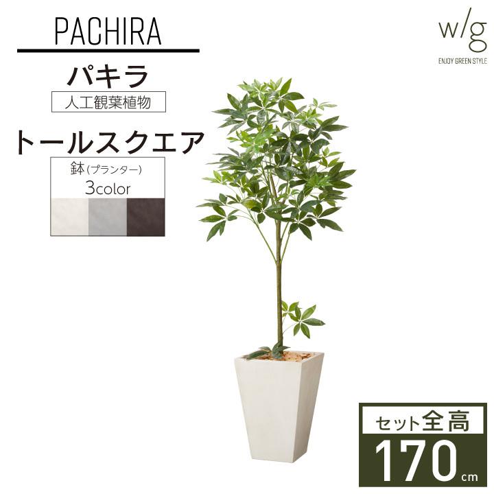 フェイクグリーン鉢セット 大型「パキラ×Tall Square w/g」高さ170cm