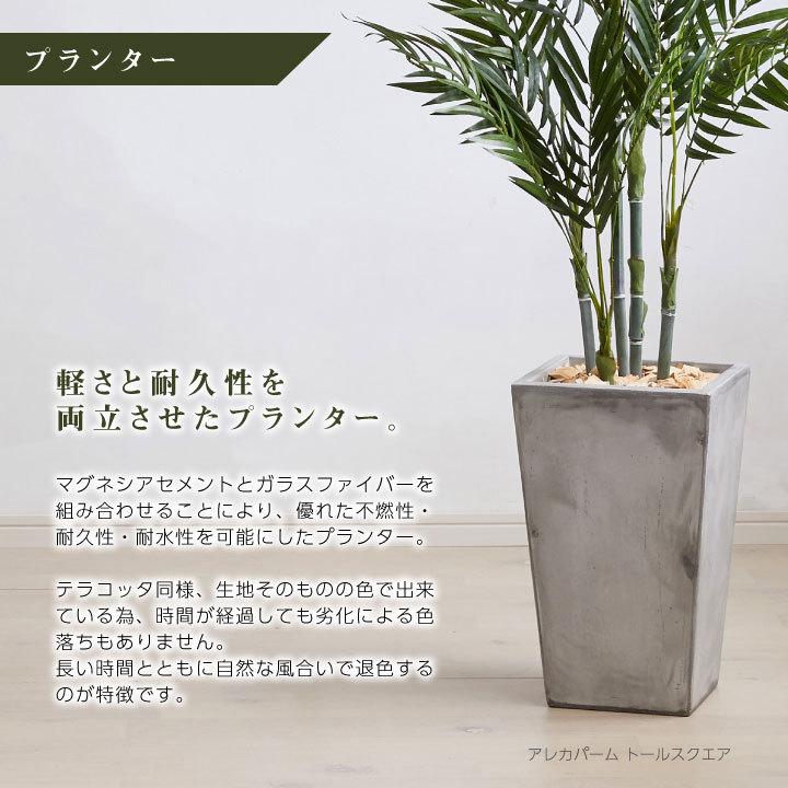 フェイクグリーン鉢セット 大型「パキラ×Tall Square w/g」高さ170cm