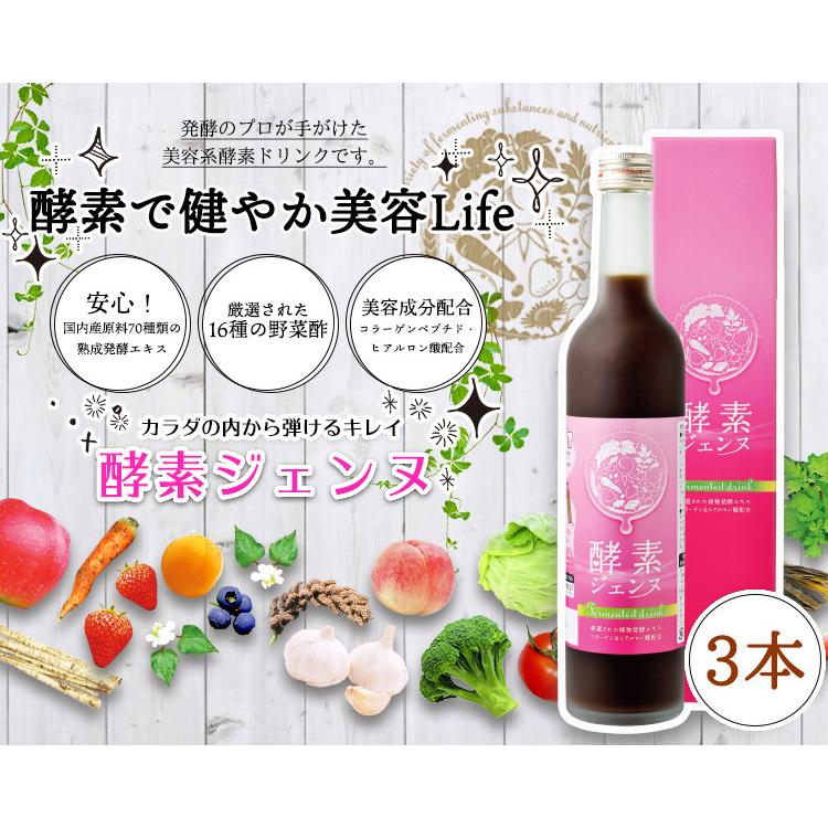 酵素ジェンヌ 日本自然発酵 500ml×3本 酵素 サプリメント : 日本自然