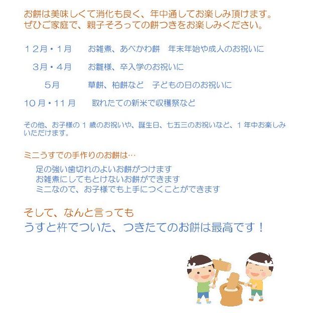 ミニ 餅つき セット 食べ切り 2合用 みかげ石 【実演DVD・説明書付き