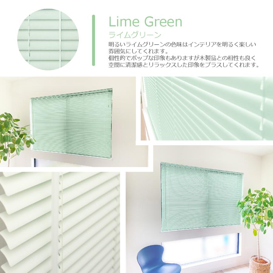 ブラインド カーテン カーテンレール 取付可能 PVC プラスチック 既成