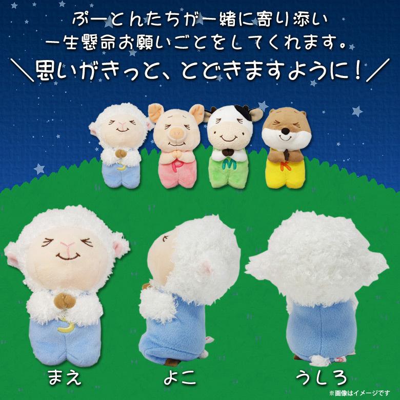 ぬいぐるみ ひつじ ヒツジ 羊 しーぷん おねがい お祈りポーズ 0250