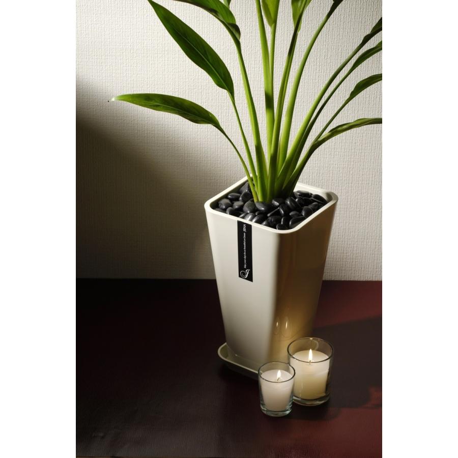 植木鉢 プラ鉢 観葉植物 Jena 8号 皿セット : MEIWACO Yahoo!ショップ