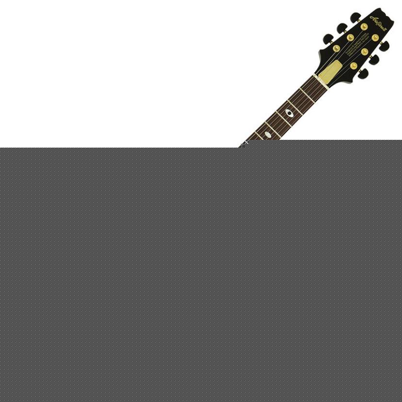 Aria Proll AriaproII PE-Black'n Gold Made in Japan-Limited Edition