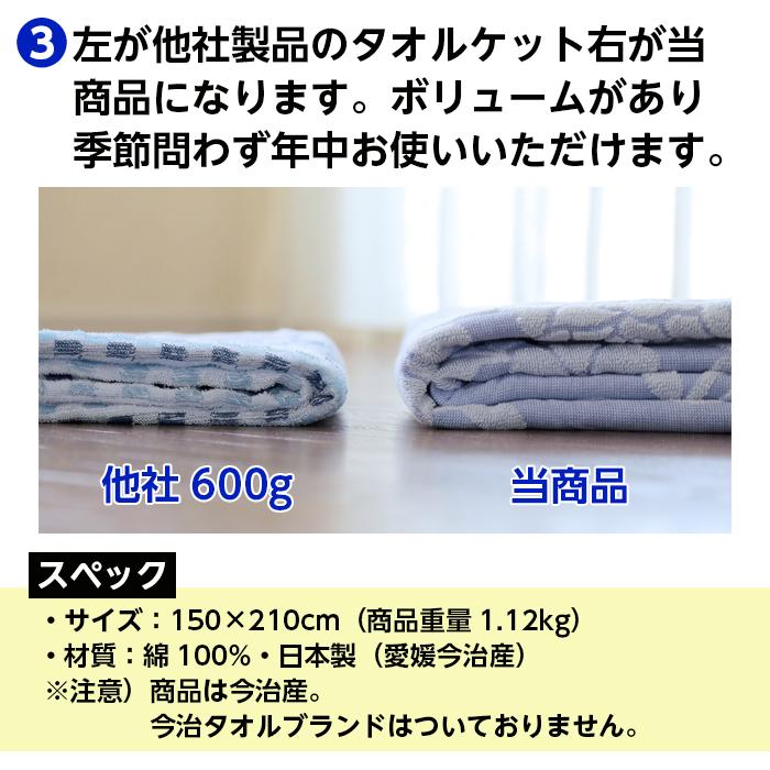 今治タオル（imabari towel） 今治 タオルケット 150×210 2色組 セット