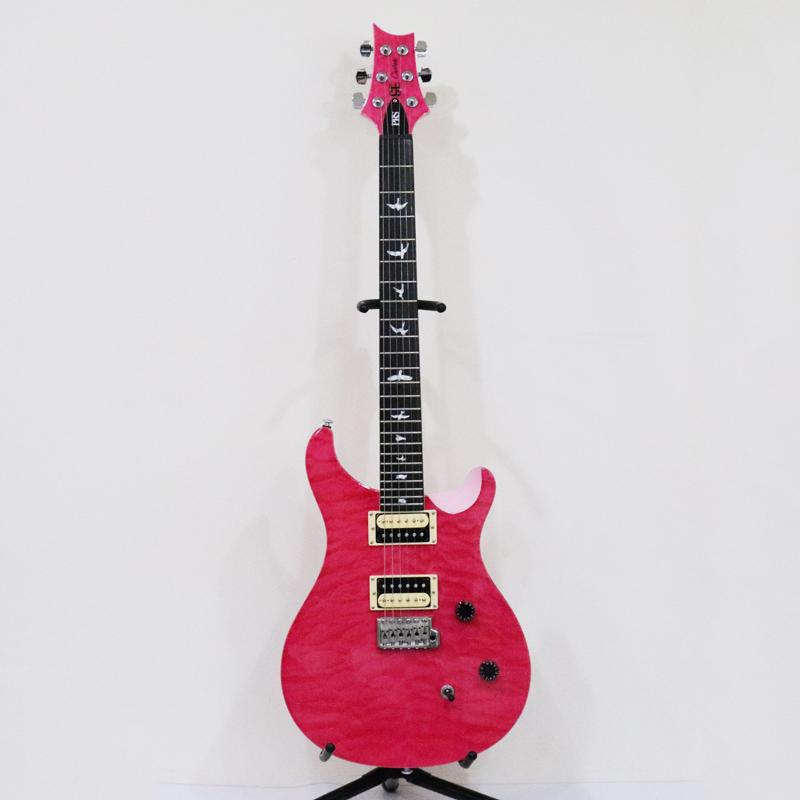 Paul Reed Smith（ポールリードスミス） 希少 国内100本限定 PRS SE