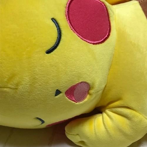 Pokemon（ポケモン） ピカチュウ すやすやフレンド Lサイズ ぬいぐるみ