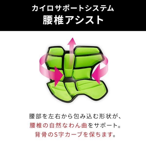 Style（スタイル） 座椅子 椅子 アスリートツー Style Athlete II 猫背