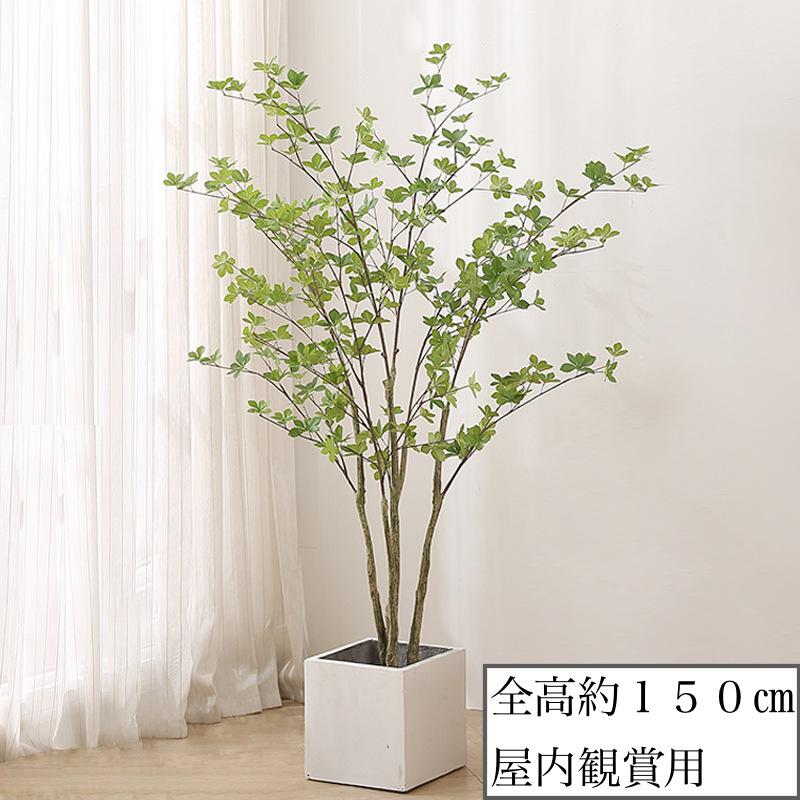 ☆観葉植物☆ 造花 ドウダンツツジ ツツジ科 全高約150cm 屋外＆屋内
